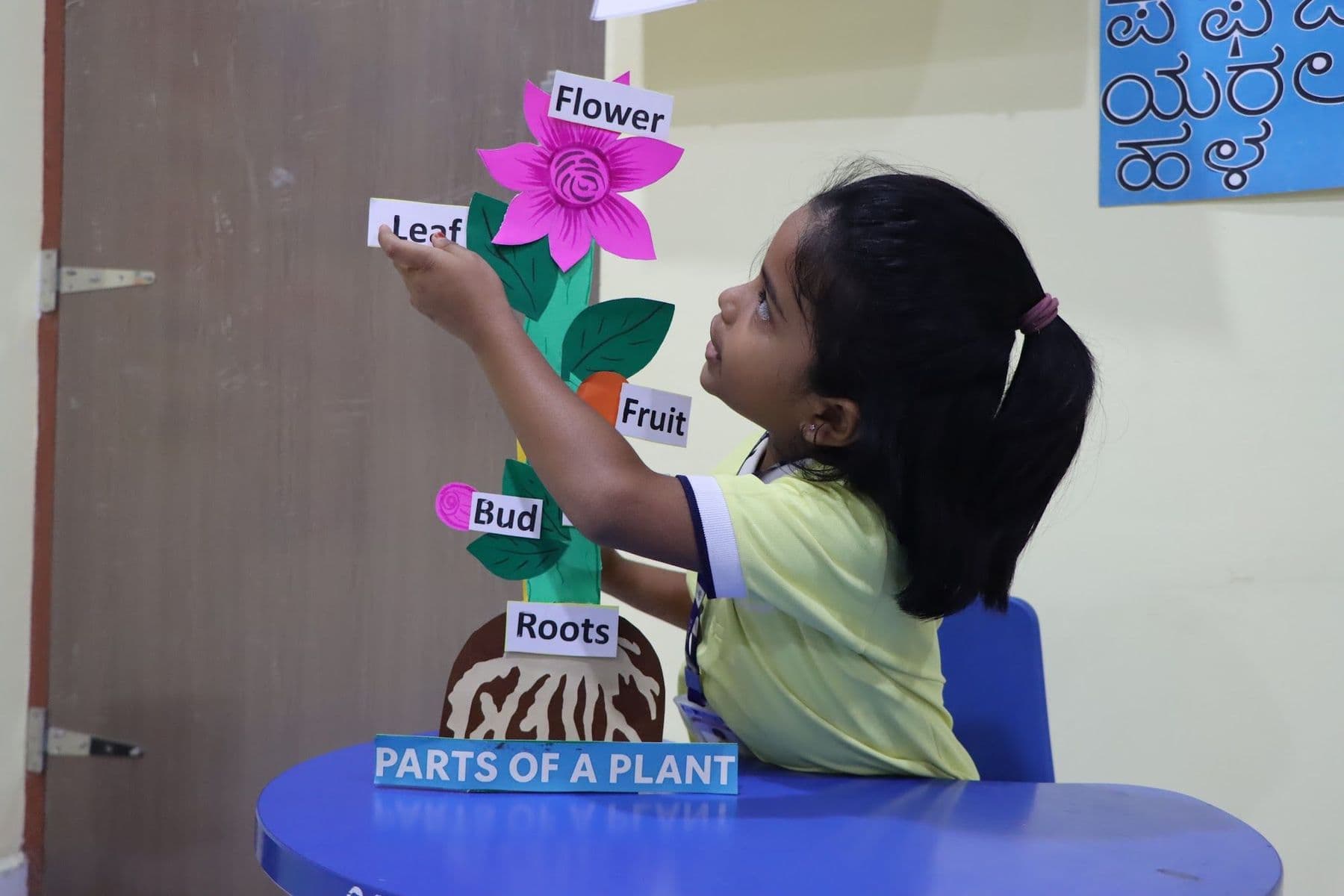 A girl proudly showing the parts-of-a-plant model during STEAM Friday